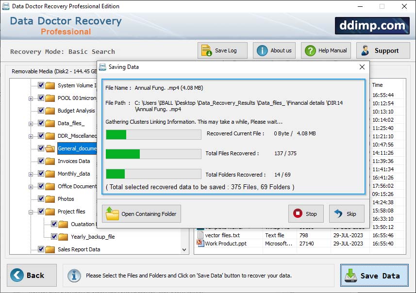  DDR Professional – Data Recovery Software