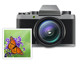 Digital Camera Data Recovery Software